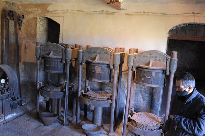 1-Hour Guided Visit to the Olive Tree That Speaks and the Hypogeum Oil Mill - Analyzing the Tour Reviews