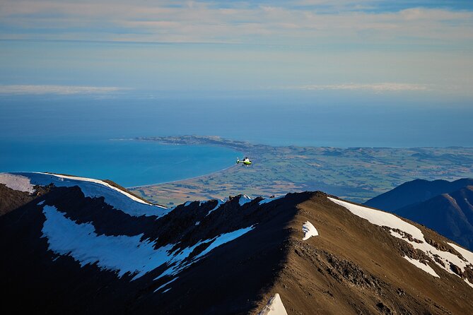 1-Hour Guided Whale Watching Premier Tour in Kaikōura - Pricing and Confirmation