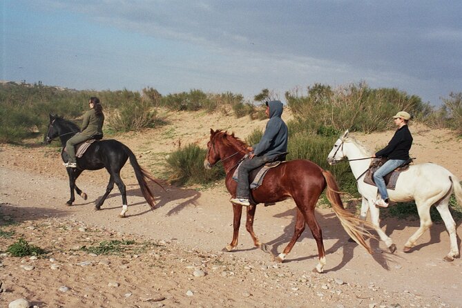 1 Hour Horse Ride on the Beach of Essaouira - Tour Details