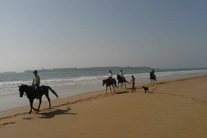 1 Hour Horse Ride on the Beach of Essaouira - Included in the Tour