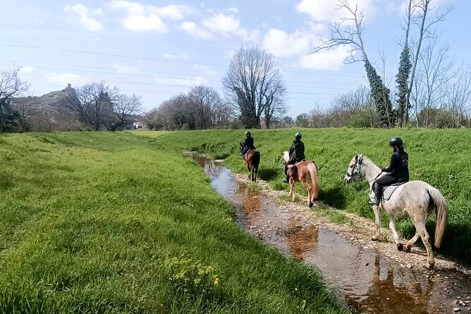 1 Hour Horseback Ride in Valgraziosa Pisa - Safety and Participation Requirements