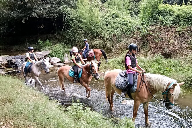 1 Hour Horseback Ride in Valgraziosa Pisa - Included Features