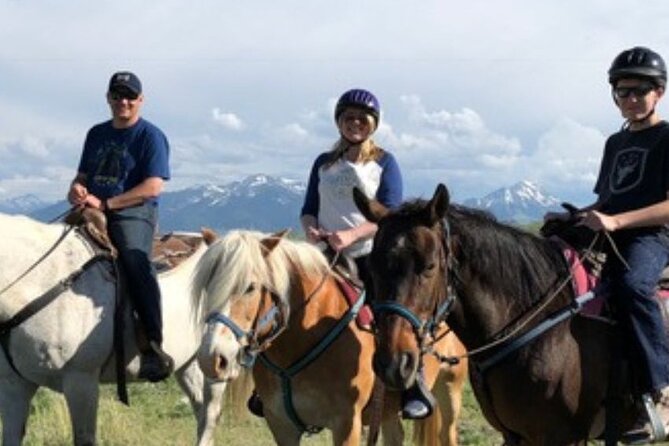 1-Hour Indoor Activity Horsemanship - Group Size