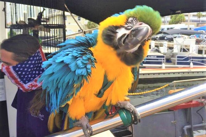 1-Hour Interactive Pirate Cruise in Ft. Lauderdale (Arrive 30 Minutes Early) - Cruise Along Fort Lauderdales Coastline