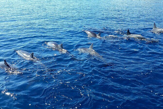 1-hour jet ski excursion in Tahiti - Setting the Scene: What the Tour Offers
