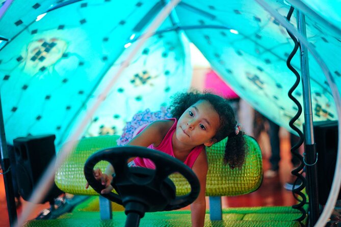 1 Hour Lady Buggy Art Tour Experience in Wynwood - Additional Information