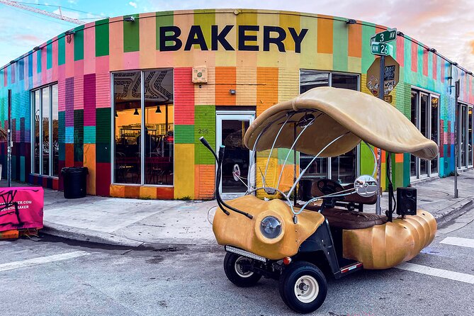 1 Hour Lady Buggy Art Tour Experience in Wynwood - Riding in the Lady Buggy