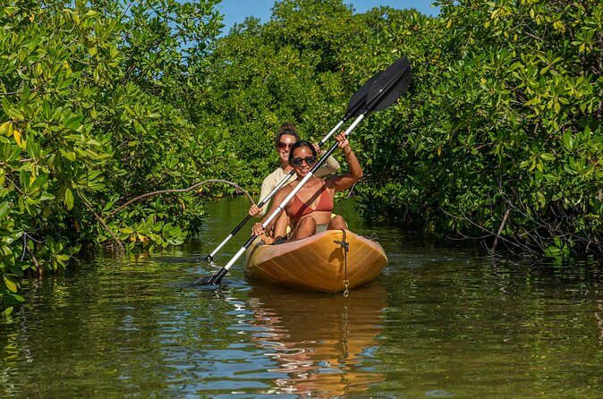 1 Hour Mangrove Kayak Tour - FAQs