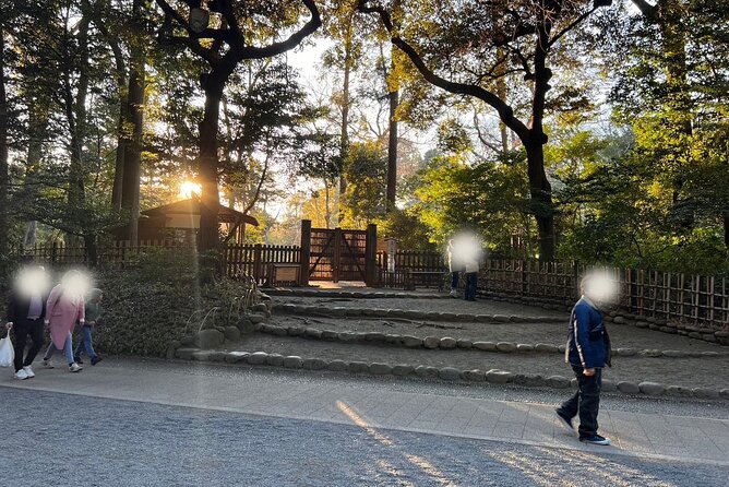 1 Hour Meiji Jingu Shrine Walking Tour in Harajuku - Cancellation Policy