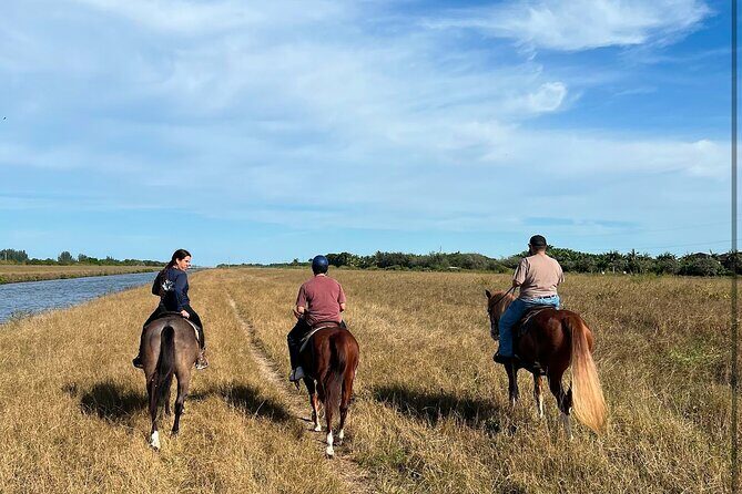 1 hour of ATV + 1 hour horse ride-- free videos and pictures - Final Thoughts on the Experience