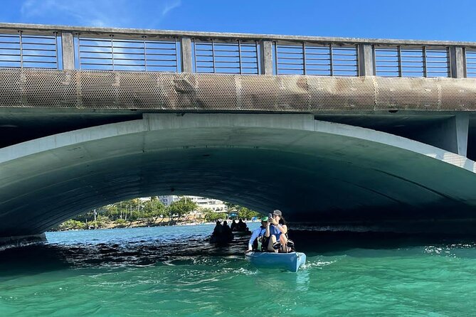 1-Hour Pedal Kayak Guided Adventure Tour in Condado Lagoon - Meeting and Pickup Information