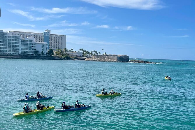1-Hour Pedal Kayak Guided Adventure Tour in Condado Lagoon - Included in the Tour