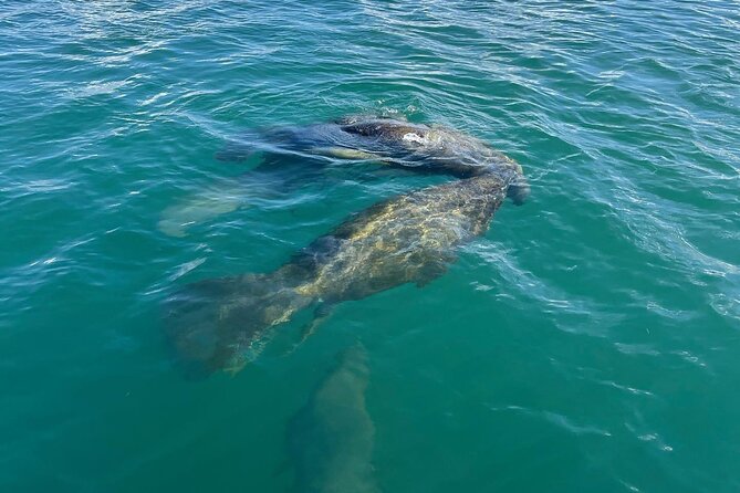 1-Hour Pedal Kayak Guided Adventure Tour in Condado Lagoon - Guided Adventure Experience