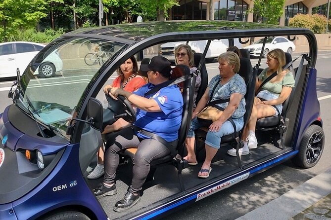 1 Hour Philadelphia Private Guided Tour by Deluxe Electric Car - Meeting Information
