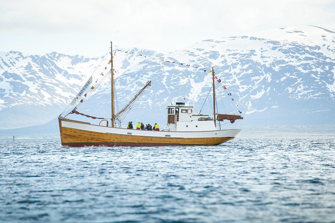 1 Hour Photo & History Cruise - Inclusions and Accessibility