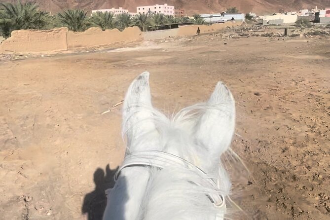 1 Hour Private Horse Riding in Madinah - Inclusions and Requirements