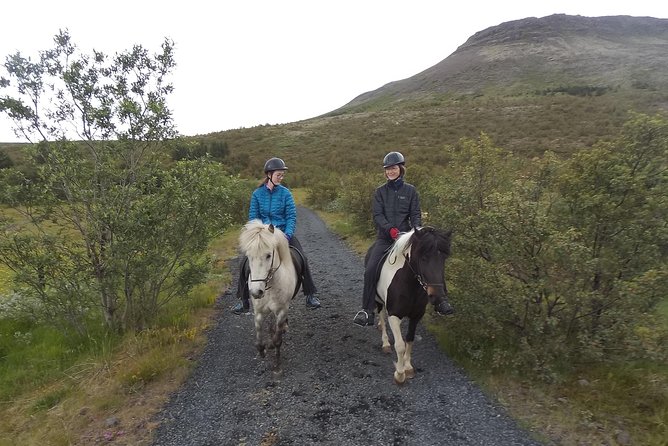 1+ Hour Private Horse Riding Tour From Reykjavik/Mosfellsbaer - Key Points
