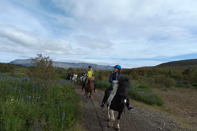 1+ Hour Private Horse Riding Tour From Reykjavik/Mosfellsbaer - Inclusions