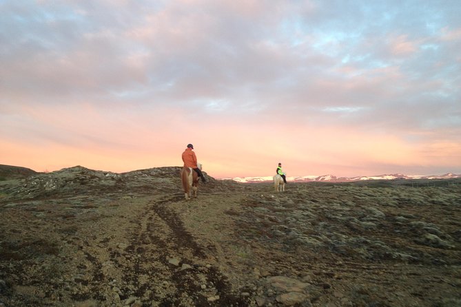 1+ Hour Private Horse Riding Tour From Reykjavik/Mosfellsbaer - Group Size and Pricing
