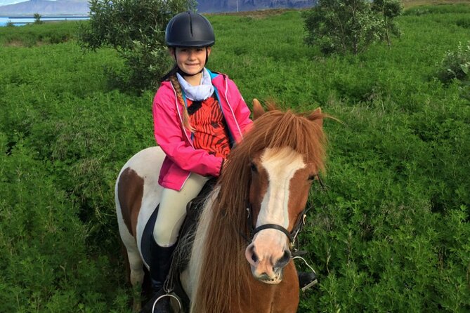1+ Hour Private Horse Riding Tour From Reykjavik/Mosfellsbaer - Cancellation Policy