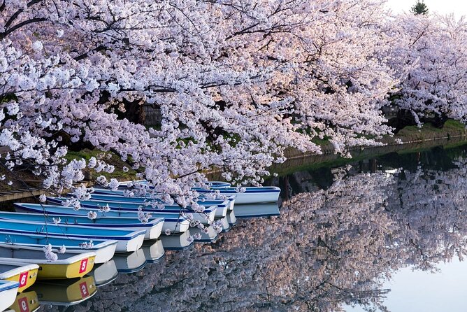 1 Hour Private Photoshoot in Aomori - Additional Information