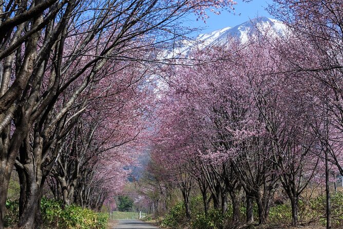 1 Hour Private Photoshoot in Aomori - Photobook Orders