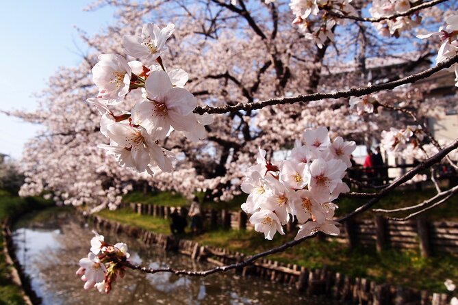 1 Hour Private Photoshoot in Matsumoto Nagano - Included Services