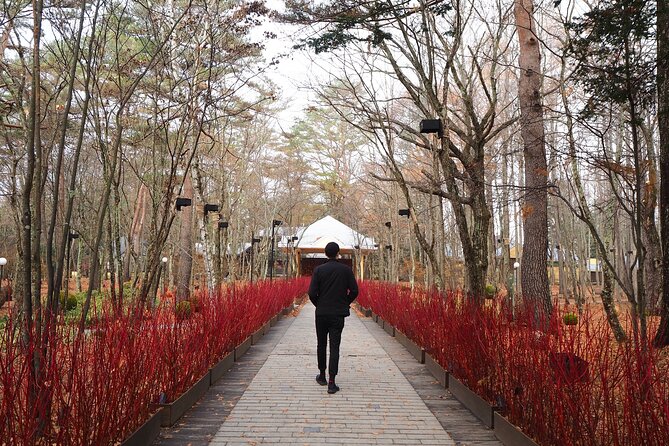 1 Hour Private Photoshoot in Matsumoto Nagano - Injury or Illness Policy
