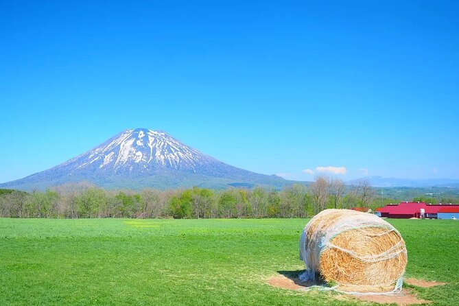 1 Hour Private Photoshoot in Niseko - Infants and Accessibility