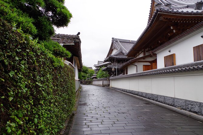 1 Hour Private Photoshoot in Oita - Weather Contingency