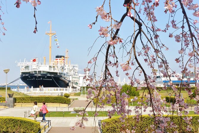 1 Hour Private Photoshoot in Yokohama - Personal Responsibilities and Tour Details
