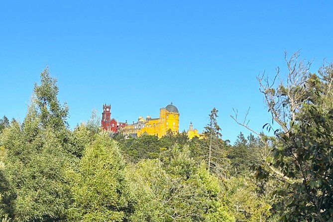 1 Hour Private Sintra Sightseeing Tour by Renault 4L - Accessibility and Participation