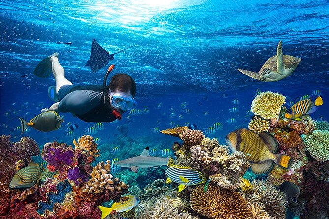 1 Hour Private Snorkeling Activity In Montego Bay - Snorkeling Equipment Provided
