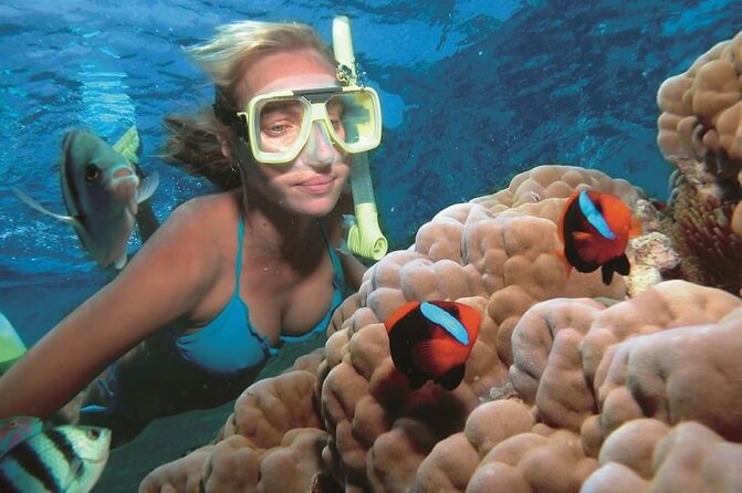 1 Hour Private Snorkeling Activity In Montego Bay - Admission and Inclusions