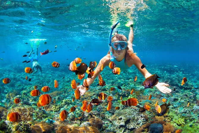 1 Hour Private Snorkeling Activity In Montego Bay - Pickup and Accessibility