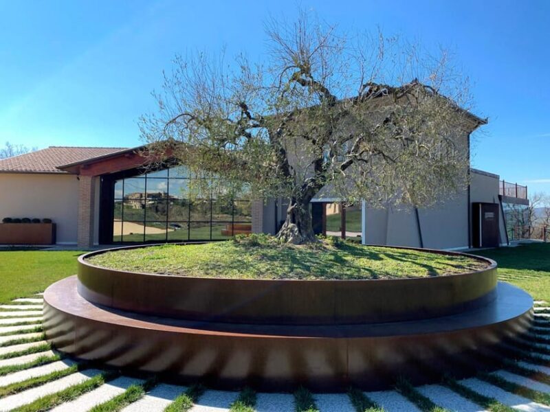 1-Hour Private Tour of the Oil Mill With Tasting - Tour Details
