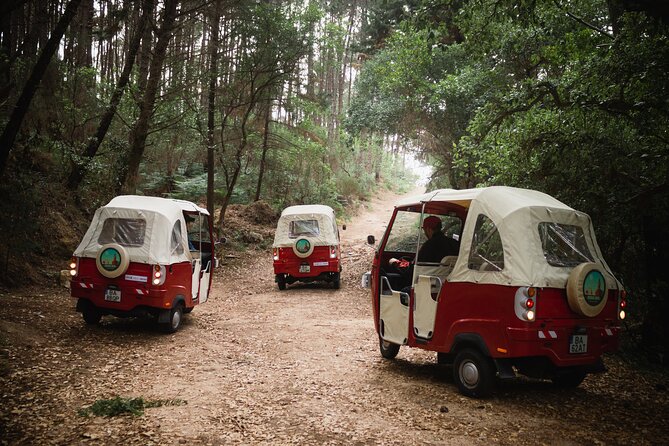 1 Hour Private Tuk-Tuk Tour in Sintra - Reviews and Ratings