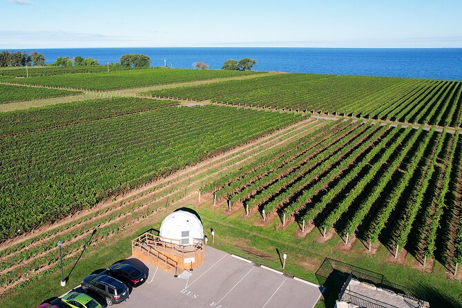 1 Hour Private Vineyard Dome Experience in Niagara-on-the-Lake - Wheelchair Accessibility and Service Animals