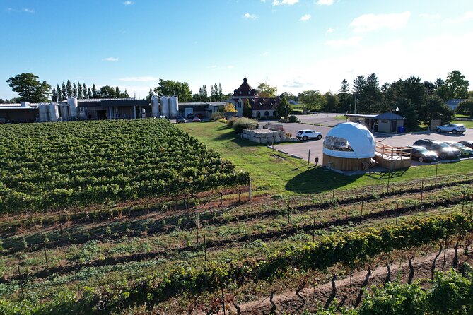 1 Hour Private Vineyard Dome Experience in Niagara-on-the-Lake - Alcoholic Beverages and Snacks