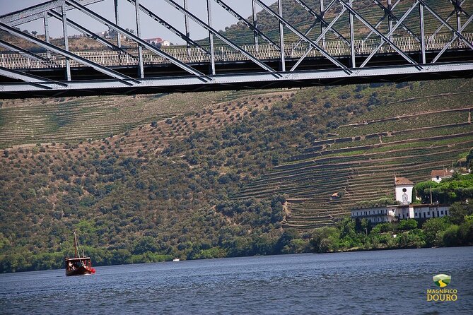 1-Hour Rabelo Boat Trip in Pinhão - Location and Meeting Details