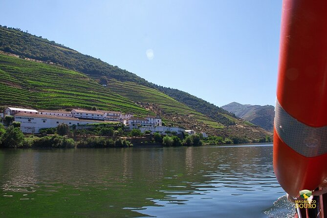 1-Hour Rabelo Boat Trip in Pinhão - Experience Highlights