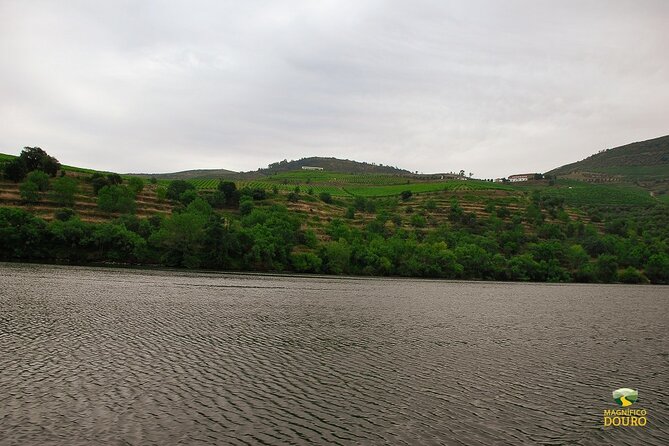 1-Hour Rabelo Boat Trip in Pinhão - Host Responsiveness and Improvements