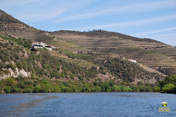 1-Hour Rabelo Boat Trip in Pinhão - Scenic Beauty and Surroundings
