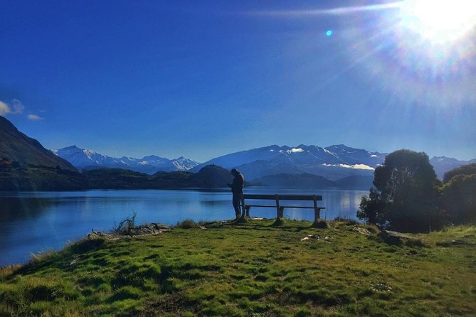 1-Hour Ruby Island Cruise and Walk From Wanaka - Cruise Details