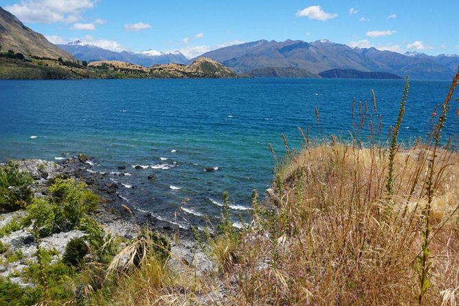 1-Hour Ruby Island Cruise and Walk From Wanaka - Booking and Cancellation Policy