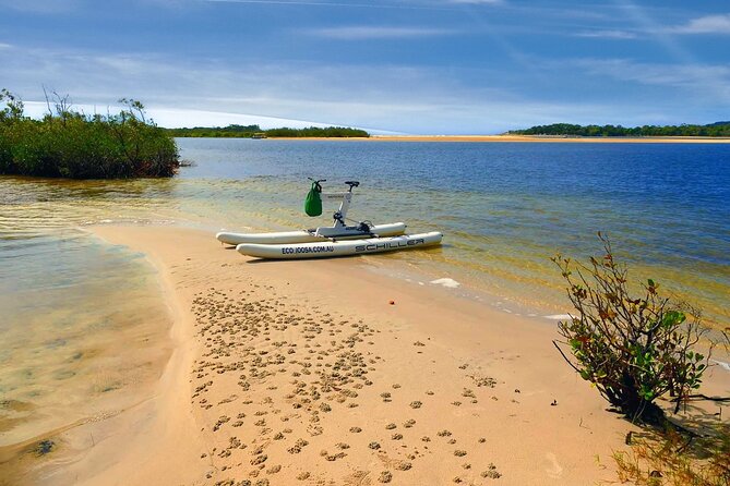 1 Hour Self Guided Water Bike Tour of the Noosa River - Safety Considerations