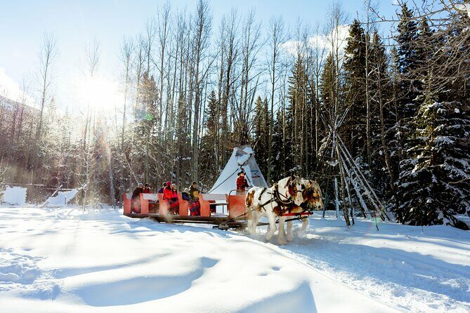 1 Hour Shared Winter Sleigh Ride Experience in Kananaskis - An In-Depth Look at the Experience