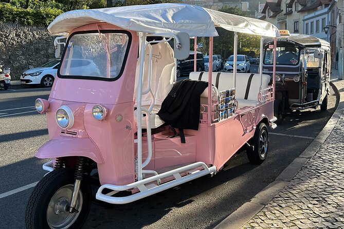 1 Hour Sightseeing Tour in Sintra With Tuktuk - Tour Details and Accessibility