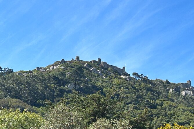 1 Hour Sightseeing Tour in Sintra With Tuktuk - Customer Feedback