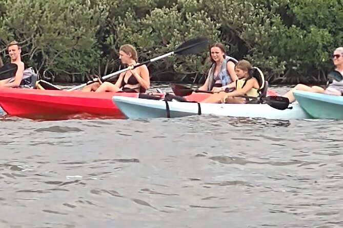 1-Hour Single Kayak Rental With Manatee & Dolphin Sightings - Accessibility and Participation